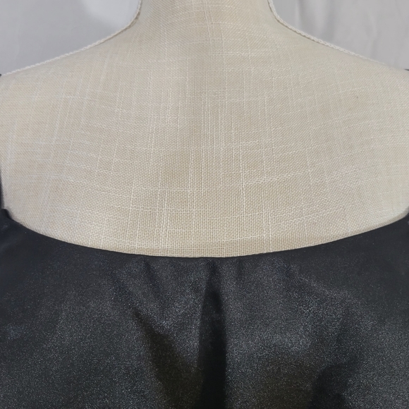 🆕️ Light n the Box Guest Coctail Midi Lace Dress w/Tulle & Pleats sz 18W - Picture 10 of 15